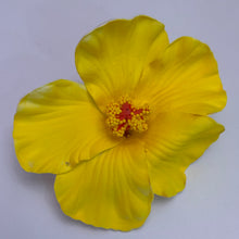 Cargar imagen en el visor de la galería, Tropical Flowers